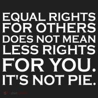 Equal Rights For Others Does Not Mean Less Rights For You Beanie thumb 2