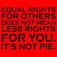 Equal Rights For Others Does Not Mean Less Rights For You Santa Hat thumb 1