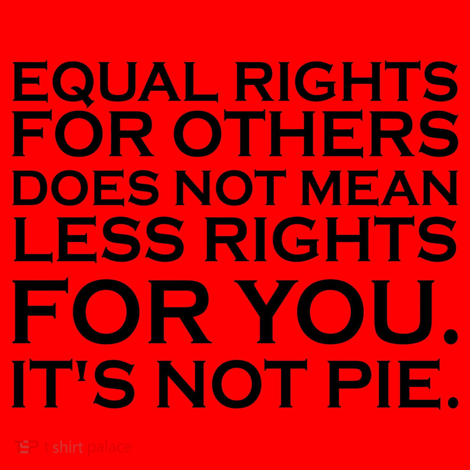 Equal Rights For Others Does Not Mean Less Rights For You Santa Hat