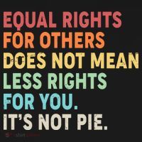 Equal Rights It's Not Pie Sweatshirt thumb 3