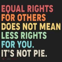 Equal Rights It's Not Pie Golf Towel thumb 3