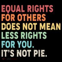Equal Rights It's Not Pie Kids Hoodie thumb 5