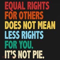 Equal Rights For Others Its Not Pie Hoodie thumb 2