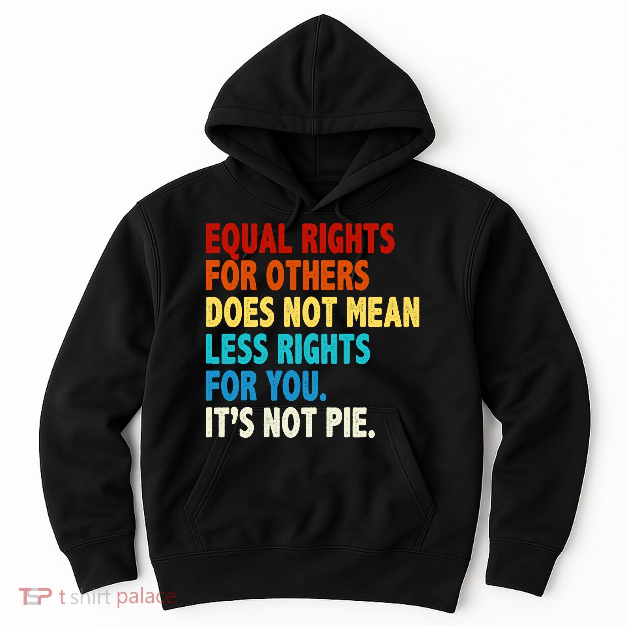 Equal Rights For Other Does Not Mean Less Rights For You It's Not Pie Hoodie