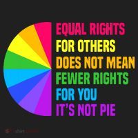 Equal Rights For Others Does Not Mean Fewer Rights For You Tumbler thumb 3
