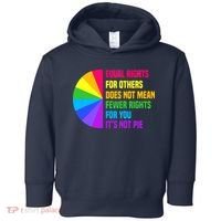 Equal Rights For Others Does Not Mean Fewer Rights For You Toddler Hoodie thumb 0