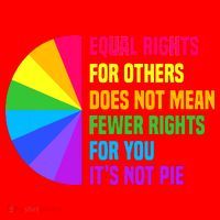 Equal Rights For Others Does Not Mean Fewer Rights For You Santa Hat thumb 1