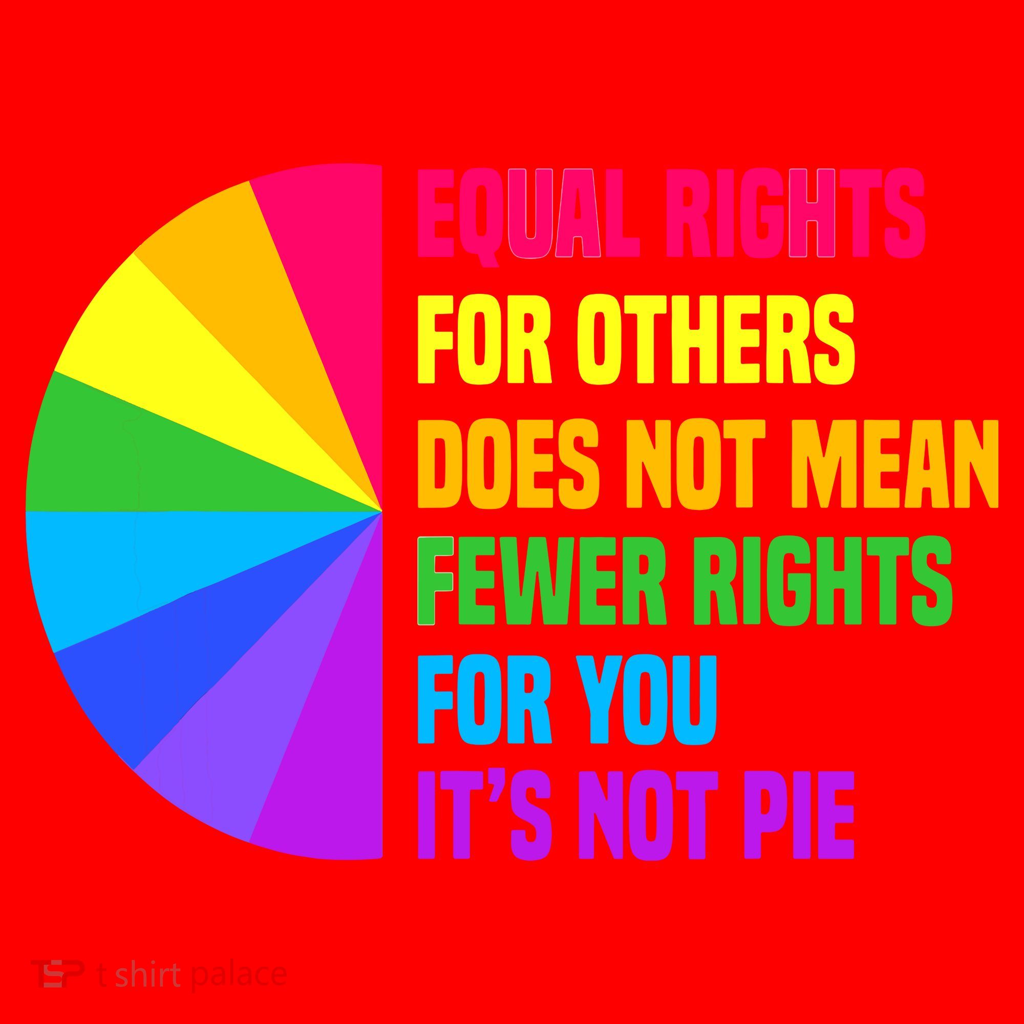 Equal Rights For Others Does Not Mean Fewer Rights For You Santa Hat
