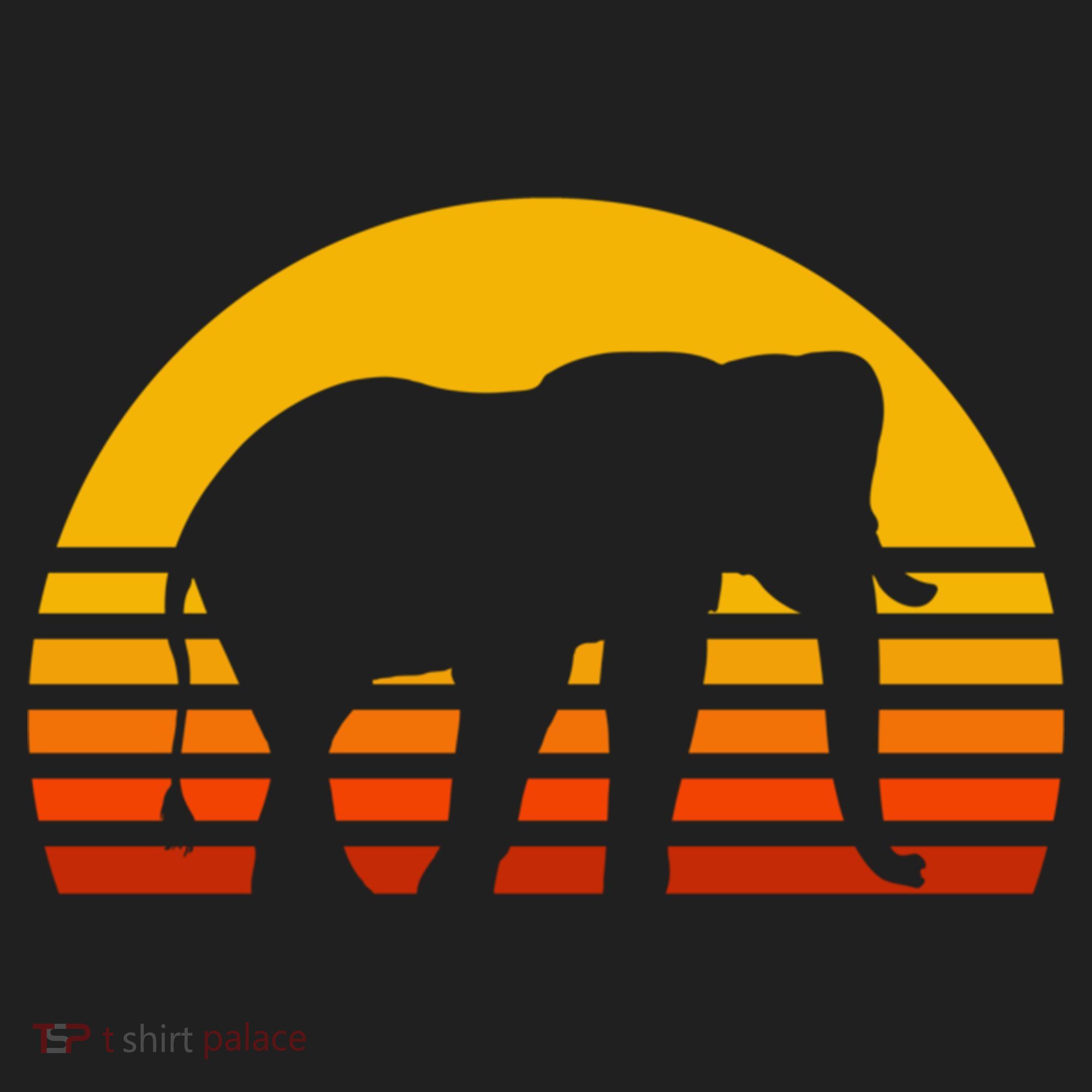 Elephant Retro Sunset Elephant Gift Women's Sweatshirt