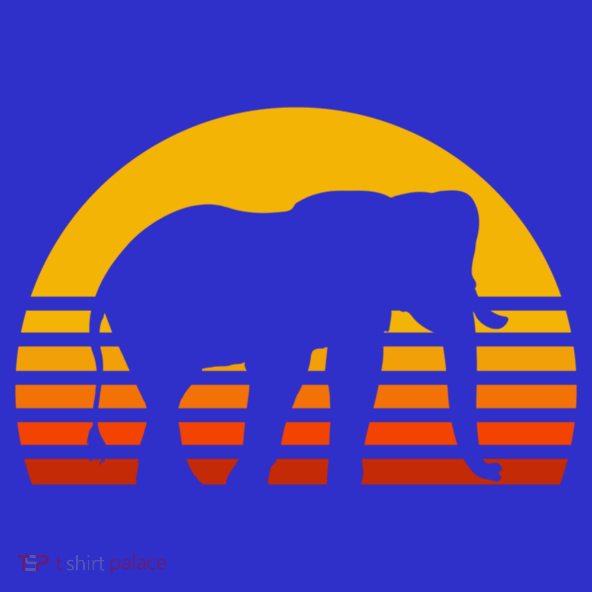 Elephant Retro Sunset Elephant Gift Women's Tank Top