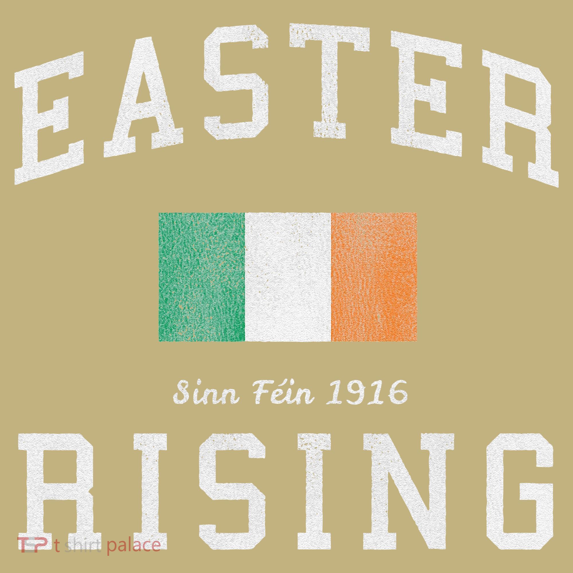 Easter Rising Sinn Fein 1916 Button