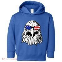 Eagle Sunglasses 4th Of July American Flag Toddler Hoodie thumb 0