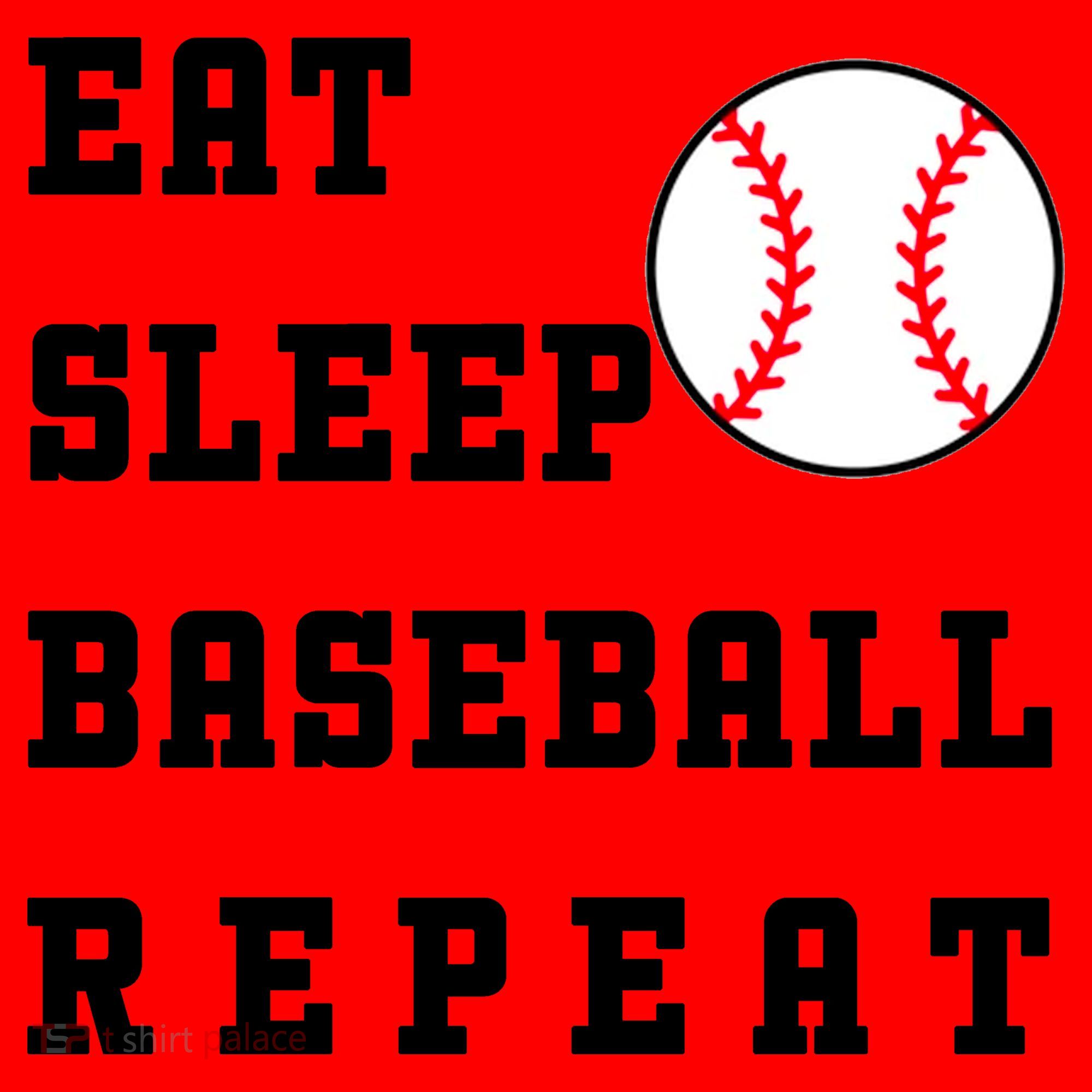 Eat Sleep Baseball Repeat Santa Hat