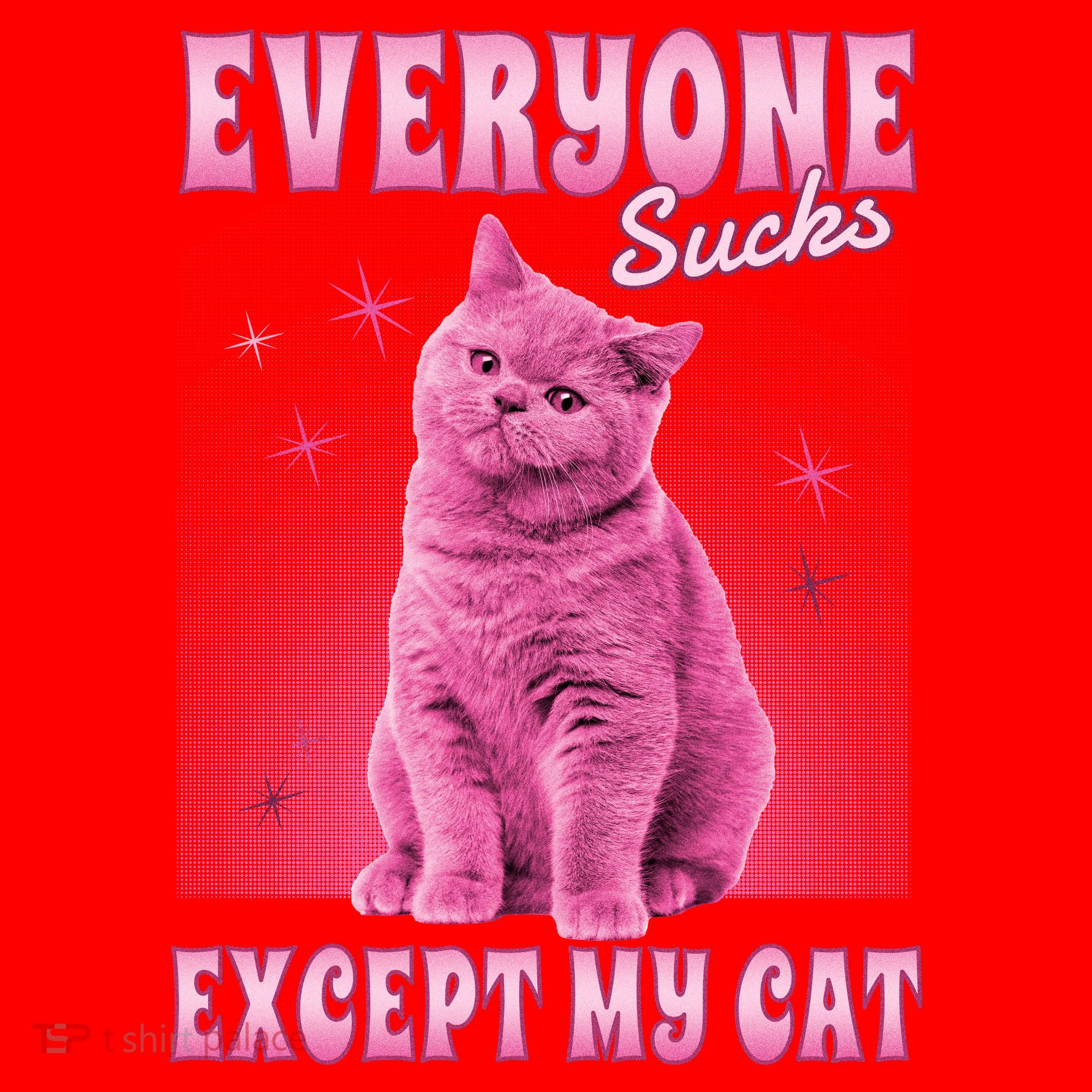 Everyone Sucks Except My Cat Santa Hat