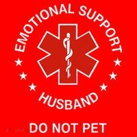 Emotional Support Husband Do Not Pet Funny Husband Dad Joke Santa Hat thumb 1