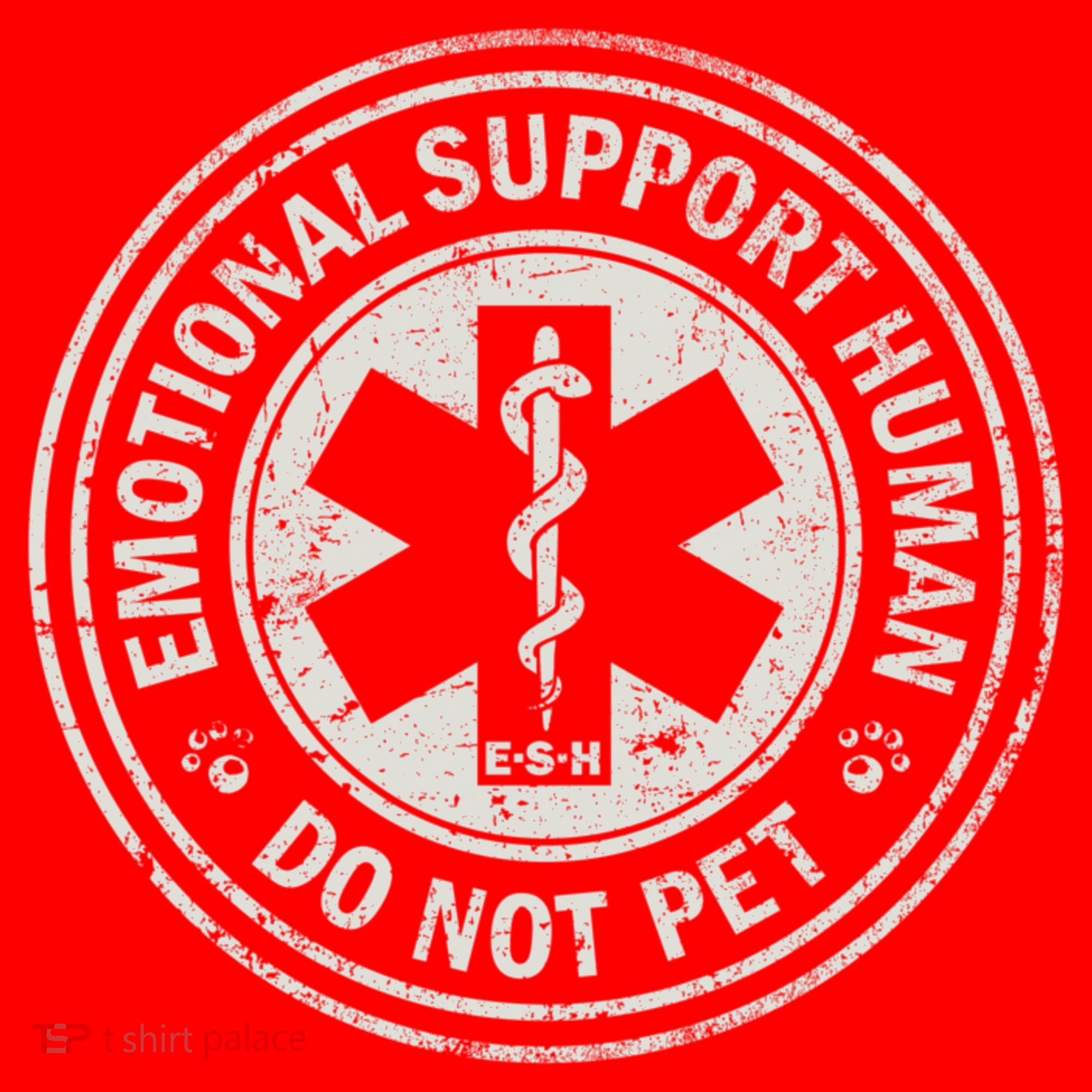 Emotional Support Human Santa Hat