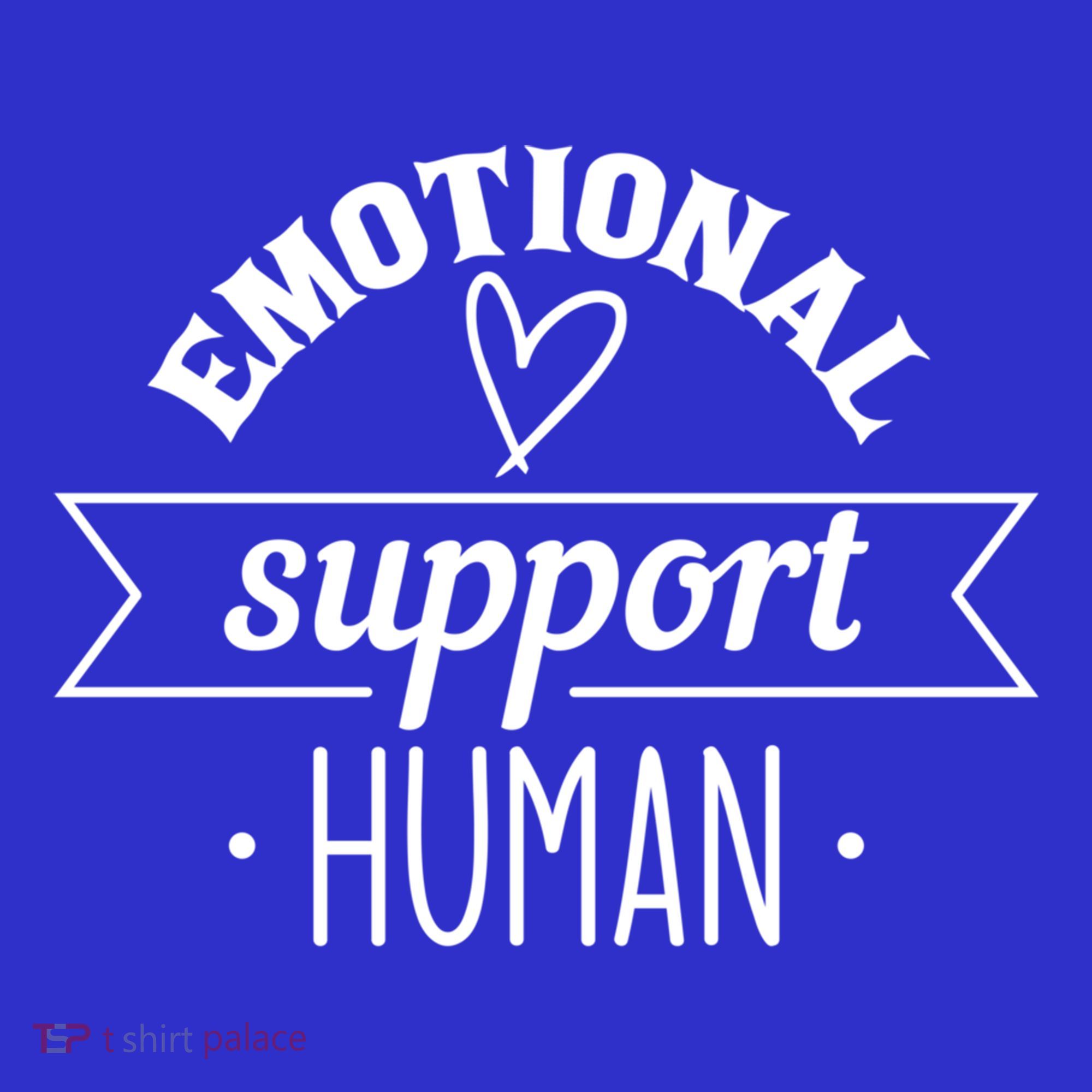 Emotional Support Hu Tal Health Counselor Gift Kids Hoodie