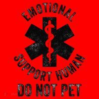 Emotional Support Husband Do Not Pet Santa Hat thumb 1