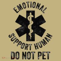 Emotional Support Husband Do Not Pet T-Shirt thumb 7