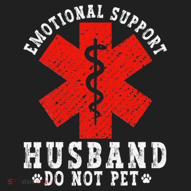 Emotional Support Husband Do Not Pet District V.I.T. Heavyweight Hoodie