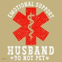Emotional Support Husband Do Not Pet Hoodie thumb 2