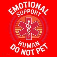 Emotional Support Husband Do Not Pet Funny Santa Hat thumb 1