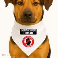 Emotional Support Human Halloween Costume Do Not Pet Me USA-Made Doggie Bandana thumb 1