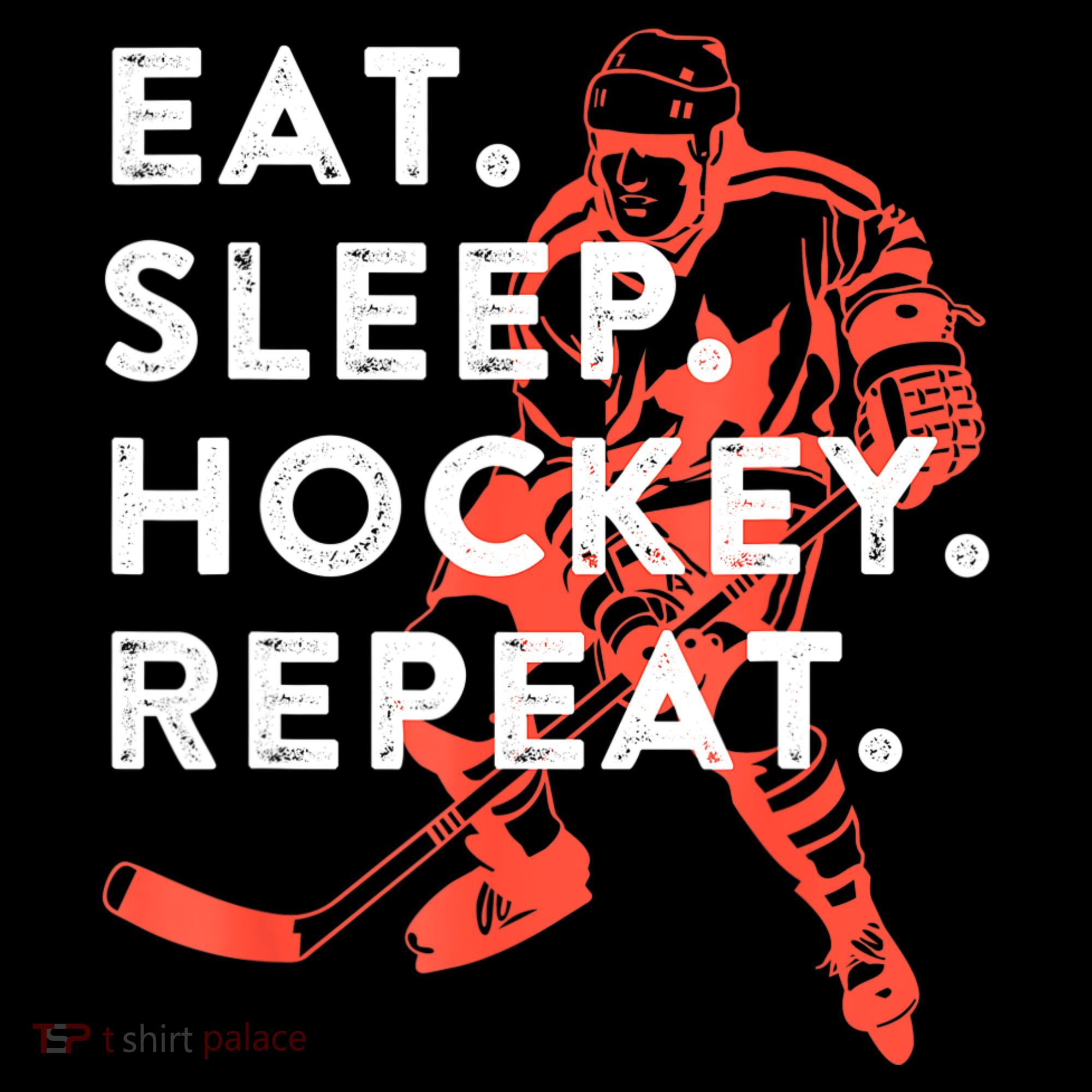 Eat Sleep Hockey Repeat Gift Hoodie