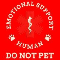 Emotional Support Husband Do Not Pet Santa Hat thumb 1