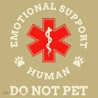 Emotional Support Husband Do Not Pet Hoodie thumb 2