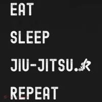 Eat Sleep Jiujitsu Repeat Toddler Hoodie thumb 2