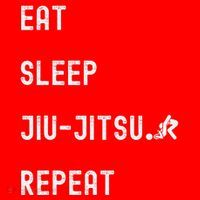 Eat Sleep Jiujitsu Repeat Santa Hat thumb 1