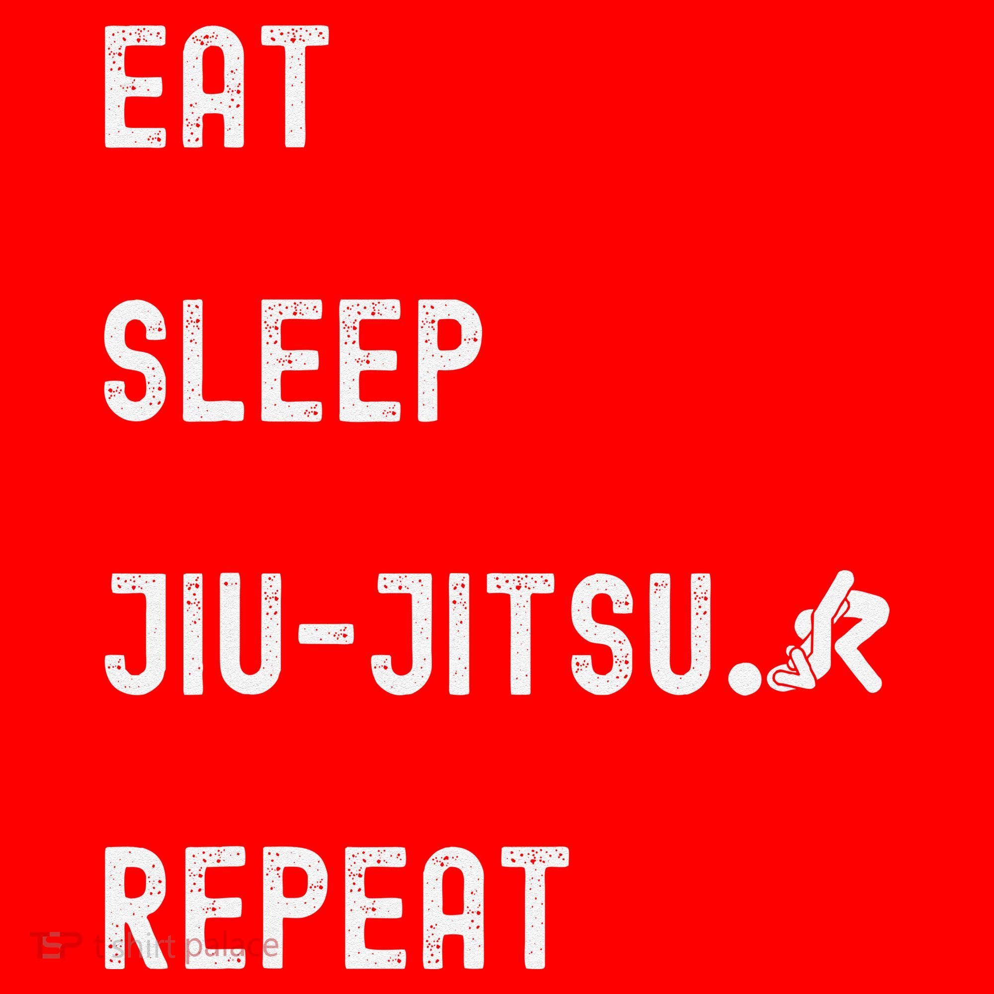 Eat Sleep Jiujitsu Repeat Santa Hat