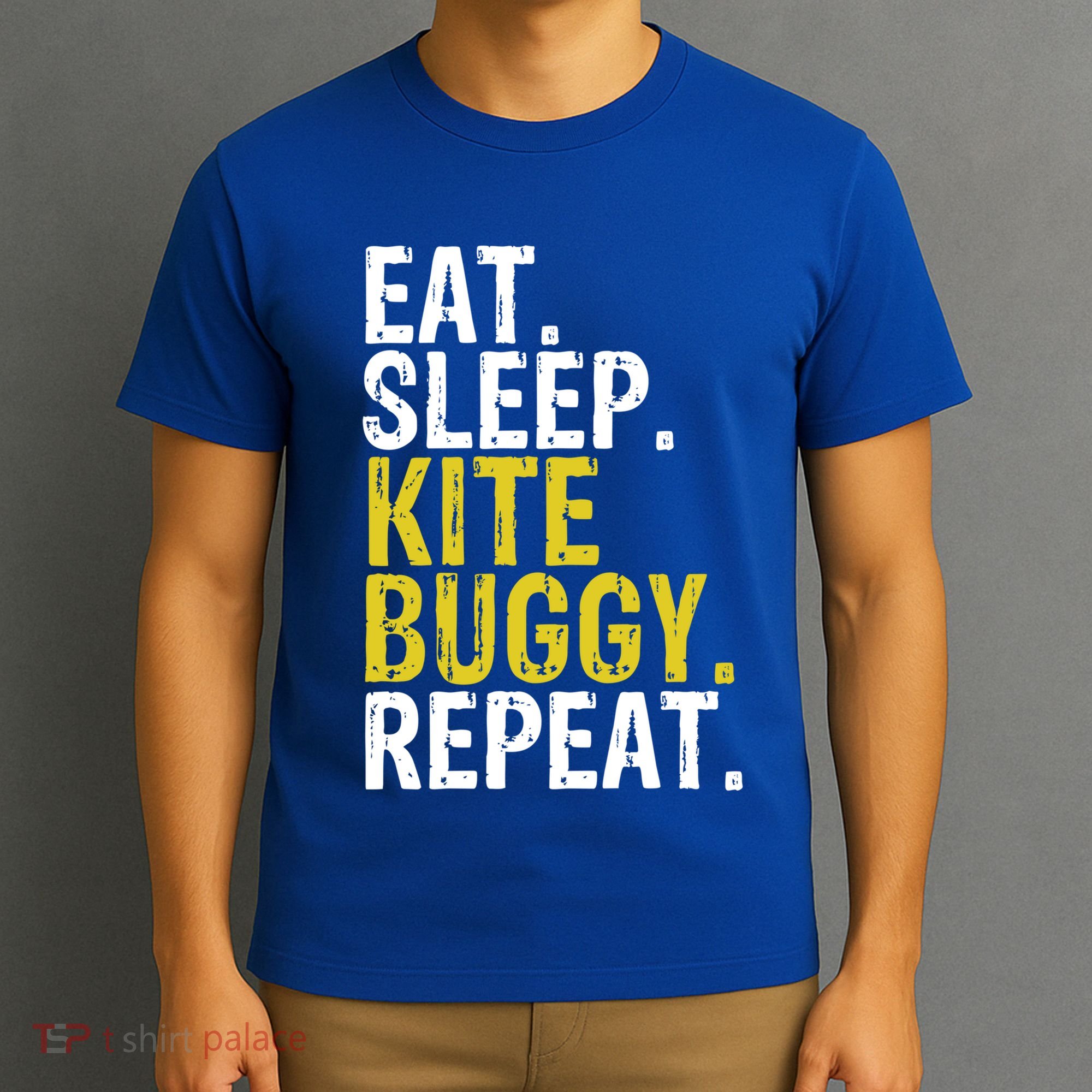 Eat Sleep Kite Buggy Repeat Gift Cute Gift T-Shirt