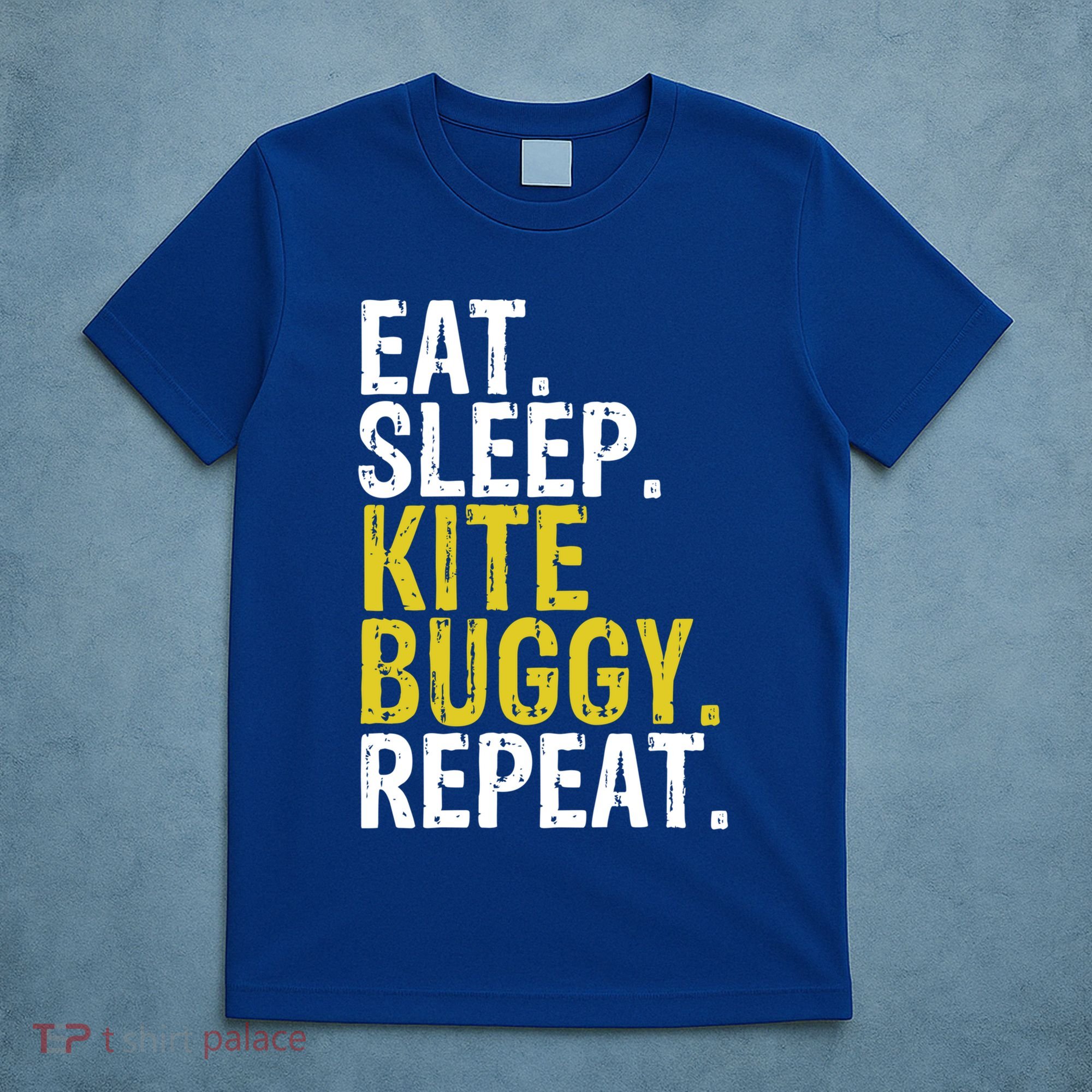Eat Sleep Kite Buggy Repeat Gift Cute Gift T-Shirt