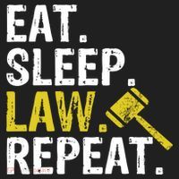 Eat Sleep Law Repeat School Lawyer Gift Beanie thumb 2