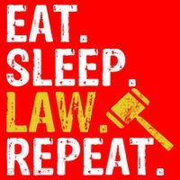 Eat Sleep Law Repeat School Lawyer Gift Santa Hat thumb 1