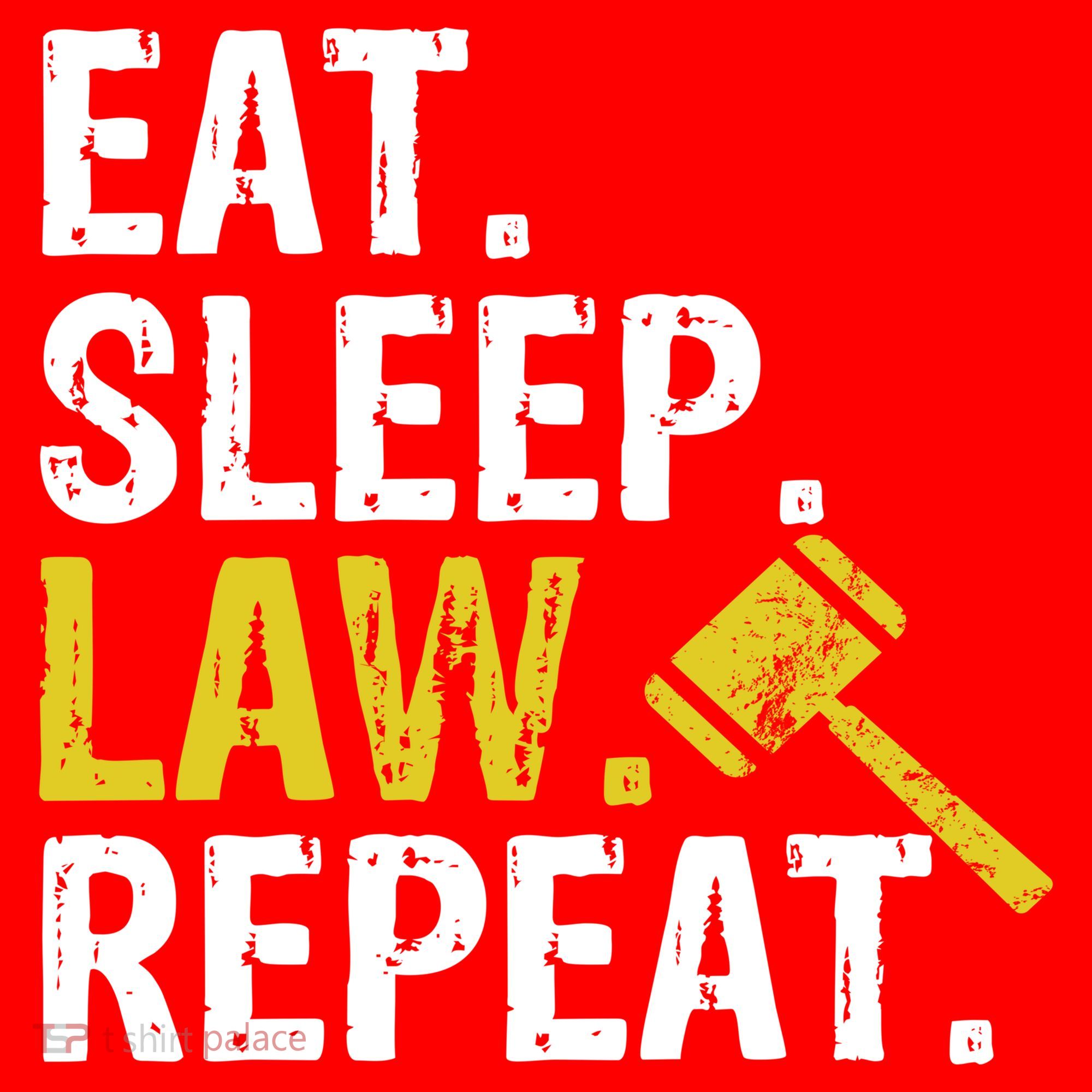 Eat Sleep Law Repeat School Lawyer Gift Santa Hat