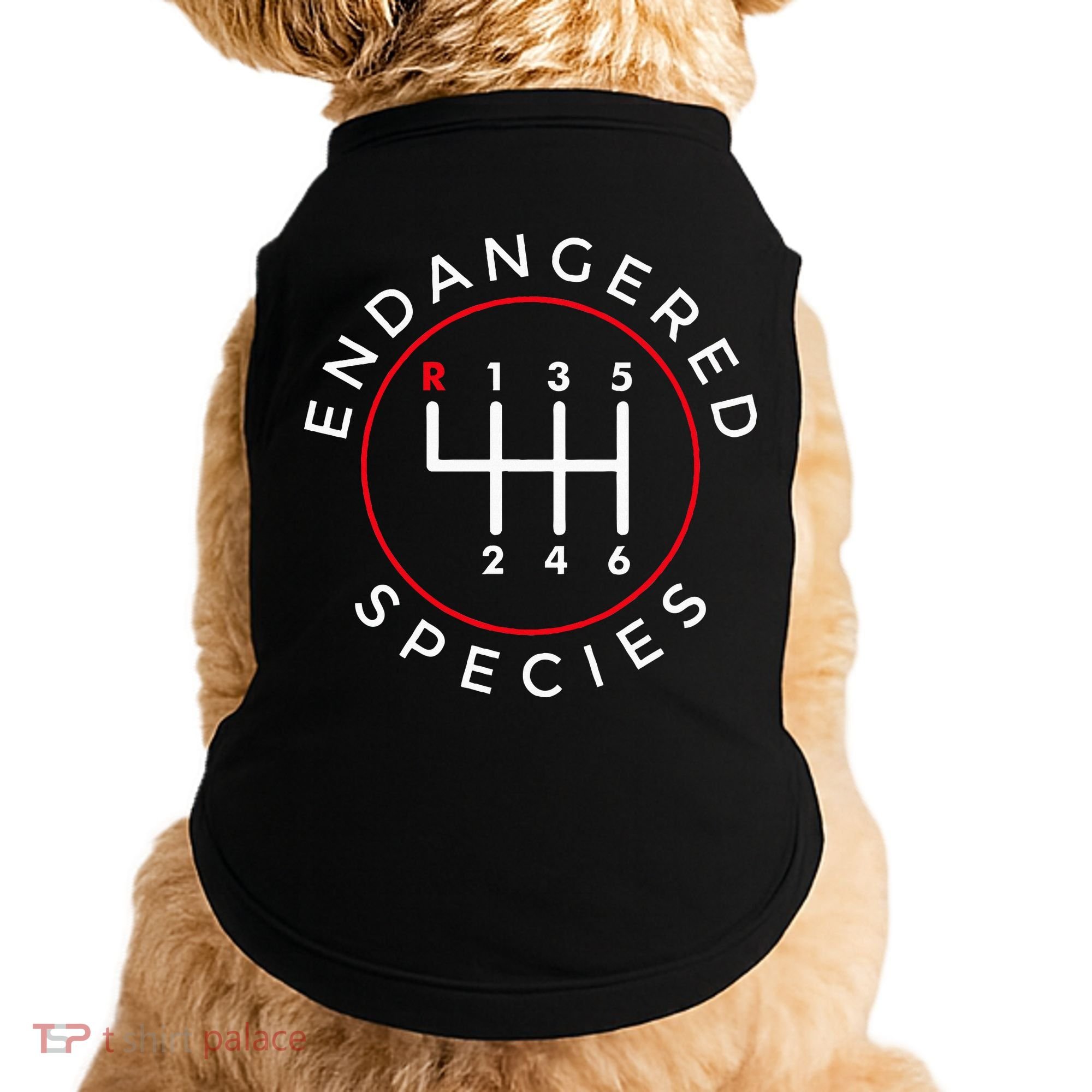Endangered Species Manual Gearbox Stick Shift 6 Speed Doggie Tank