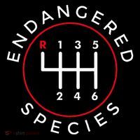 Endangered Species Manual Gearbox Stick Shift 6 Speed Ornament thumb 1