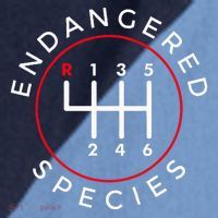 Endangered Species Manual Gearbox Stick Shift 6 Speed Raglan Baseball Sleeve Shirt thumb 2