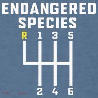 Endangered Species Manual Gearbox Stick Shift Garment-Dyed Sweatshirt thumb 2