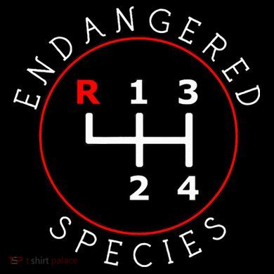 Endangered Species Manual Gearbox Stick Shift 4 Speed 1320 Stripe Pom Pom Beanie