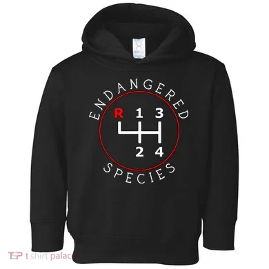 Toddler Hoodie