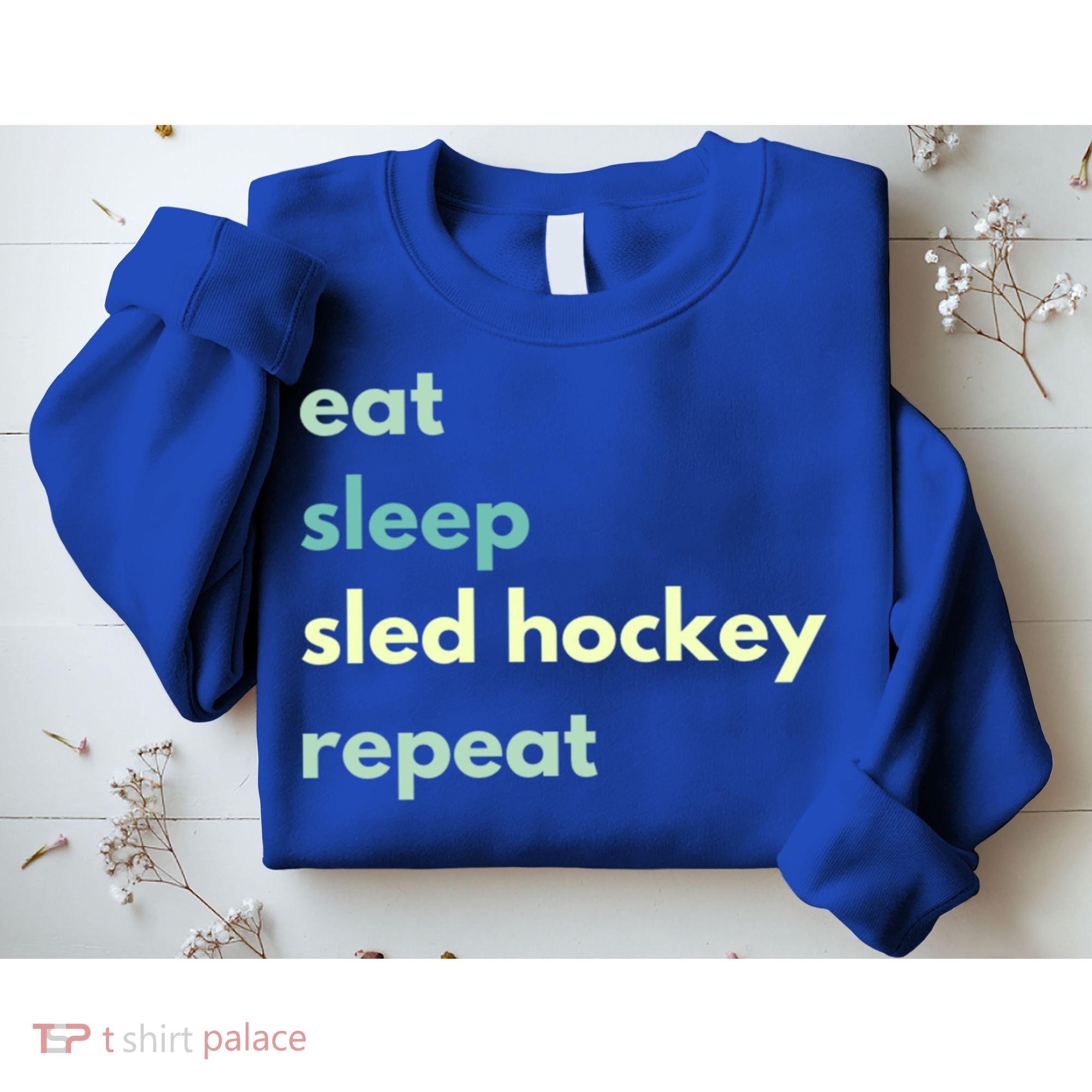 Eat Sleep Sled Hockey Repeat Cool Gift Sweatshirt