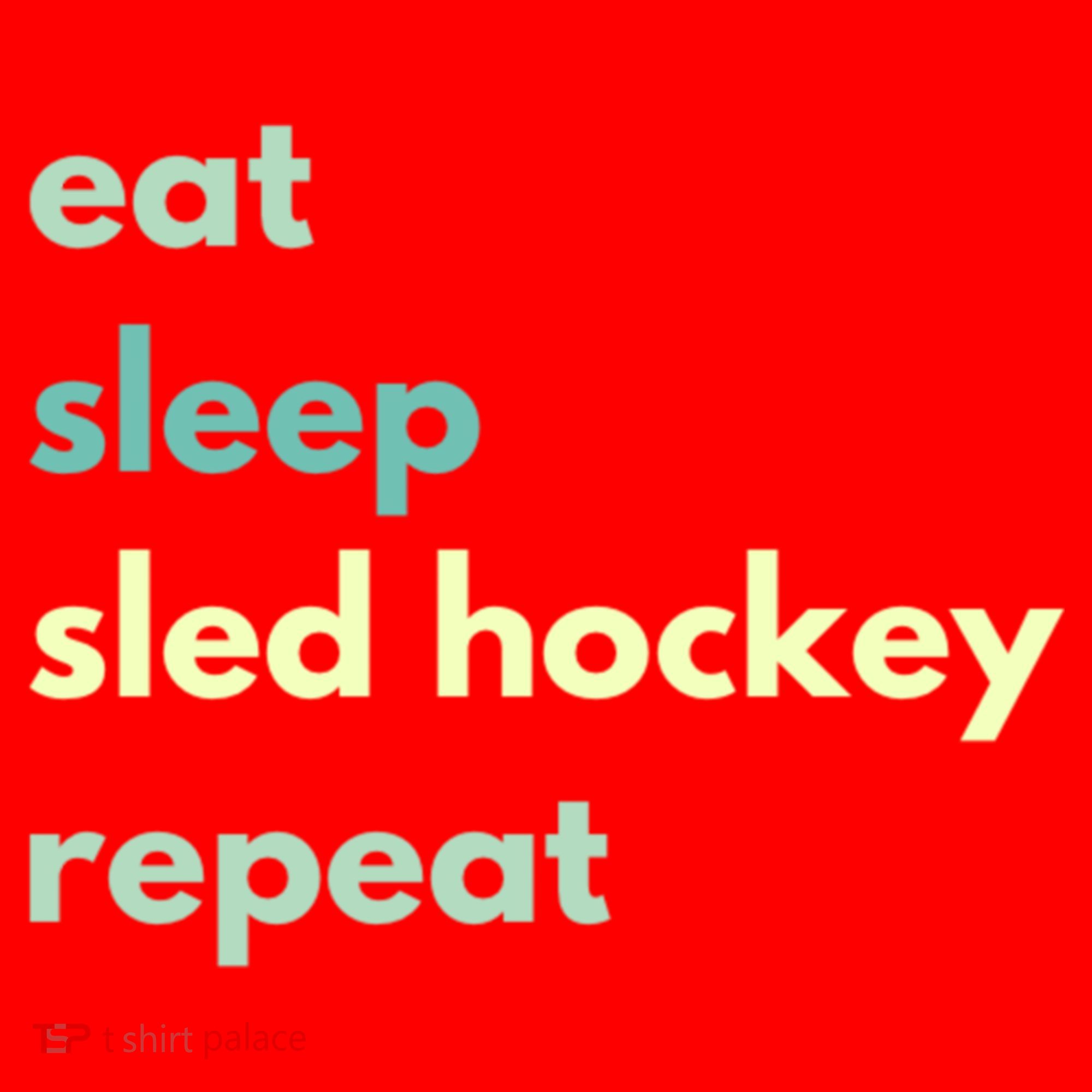 Eat Sleep Sled Hockey Repeat Cool Gift Santa Hat