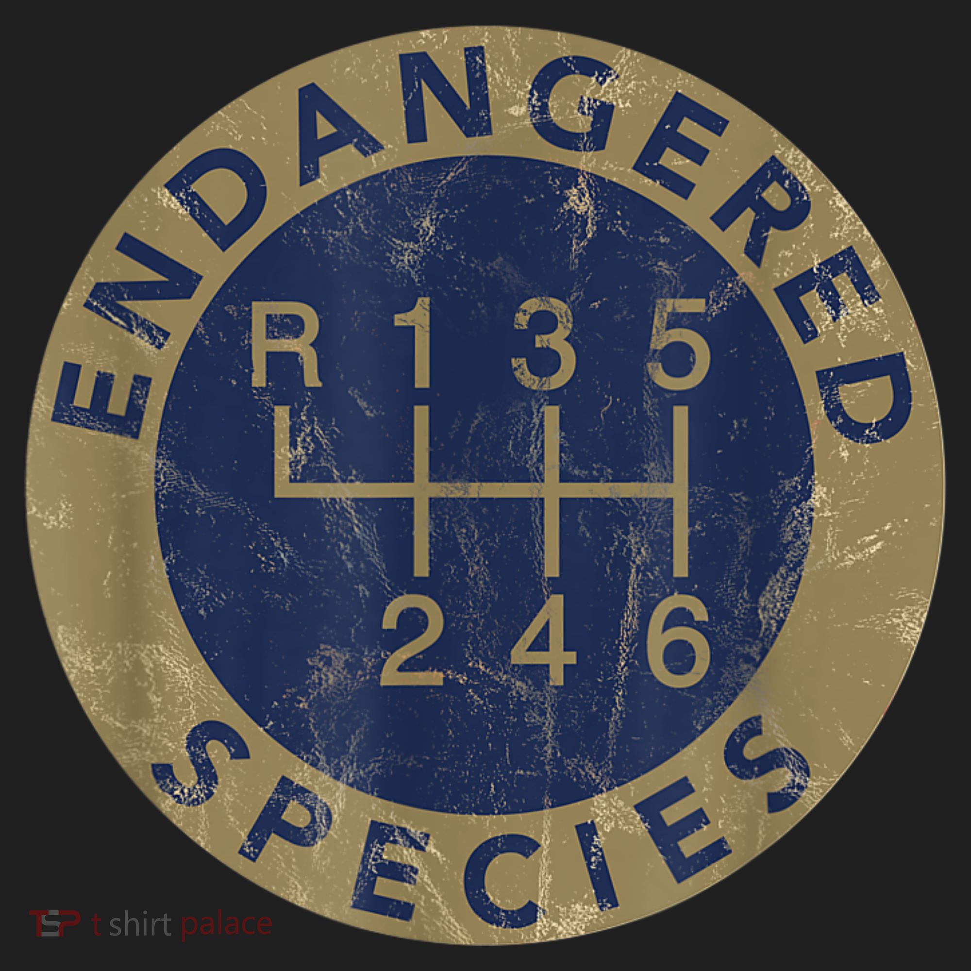 Endangered Species Stick Shift Manual Transmission Drivers District V.I.T. Heavyweight Hoodie