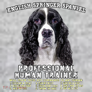 English Springer Spaniel Black Professional Human Trainer The Baniff Cuffed Pom Beanie