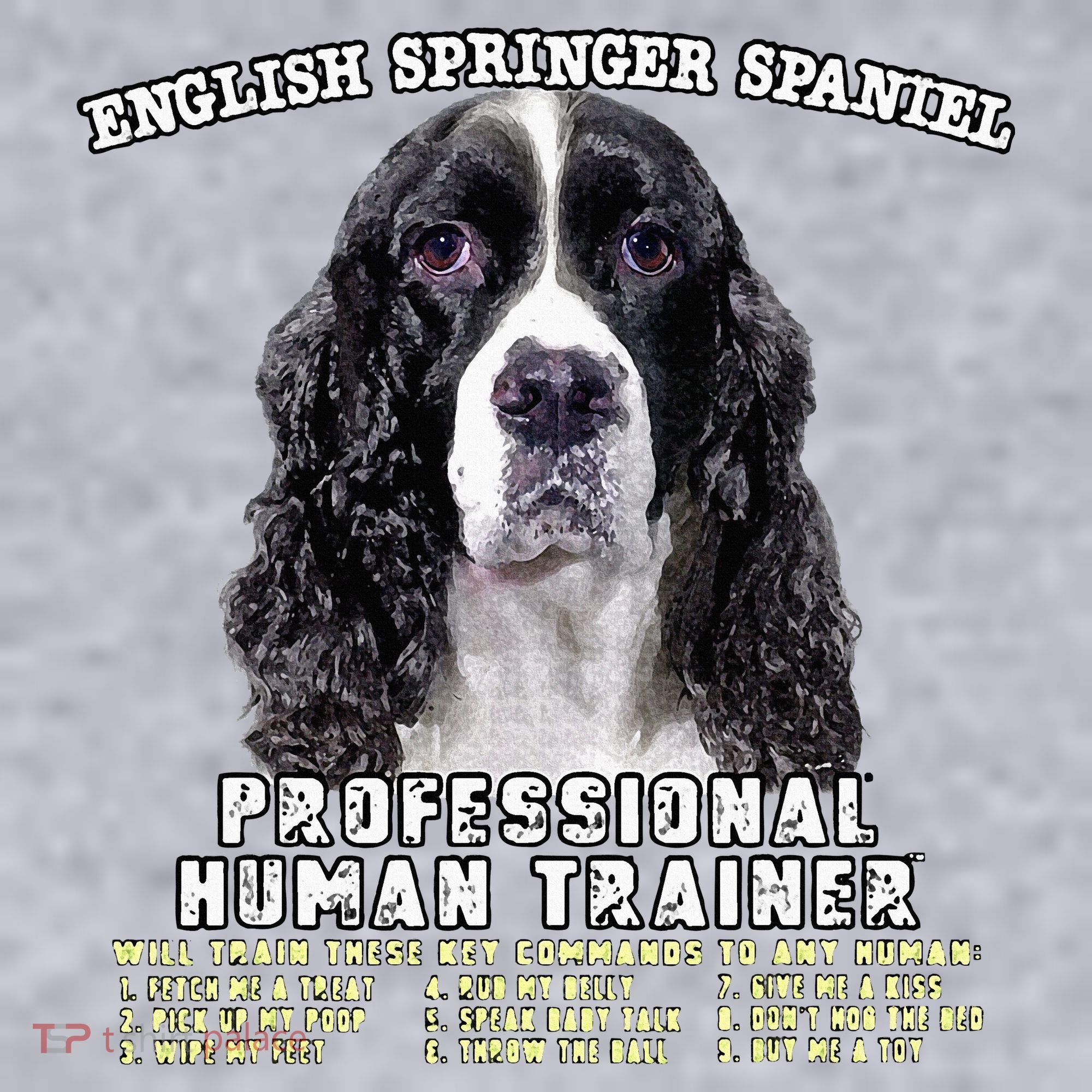 English Springer Spaniel Black Professional Human Trainer Ladies Heavyweight Boxy Pullover Hoodie