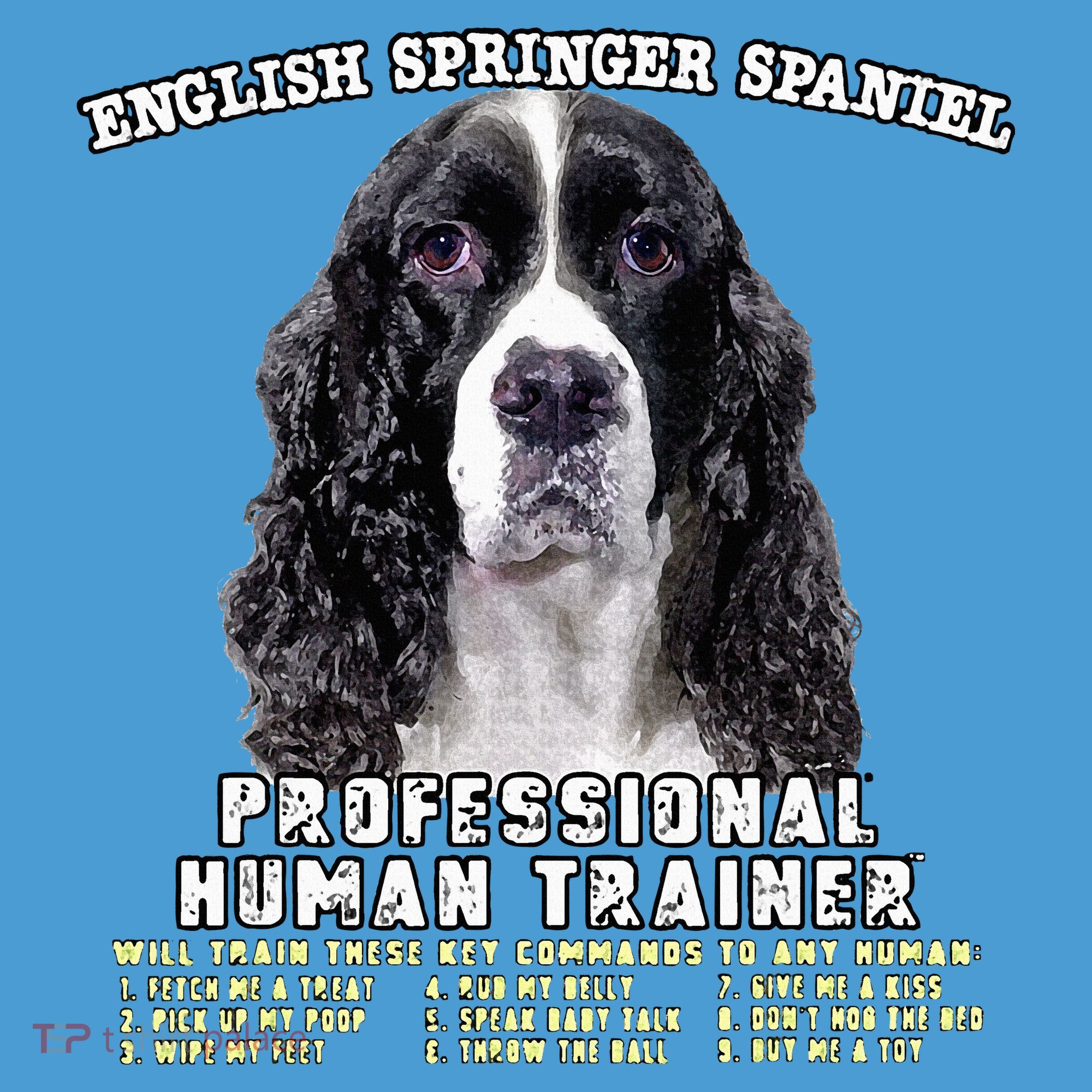 English Springer Spaniel Black Professional Human Trainer Tie Dye Hoodie